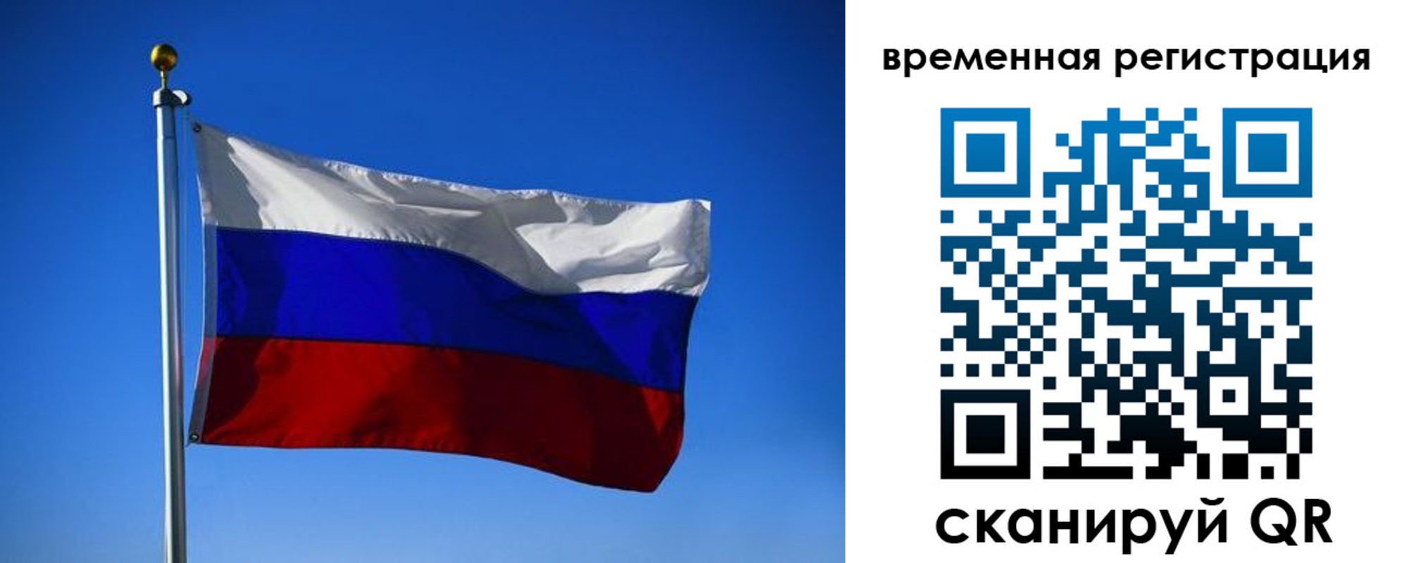 прописка штамп в Нелидово